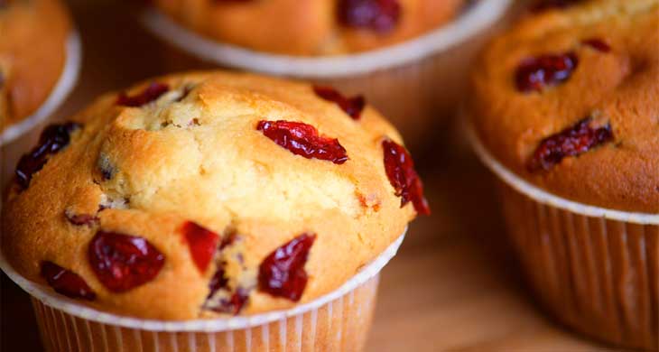 Dried Cranberry Muffins