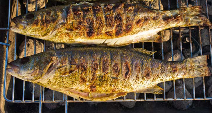 Grilled Trout