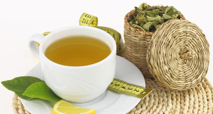 Louisa (Lemon Verbena Herbal Tea)