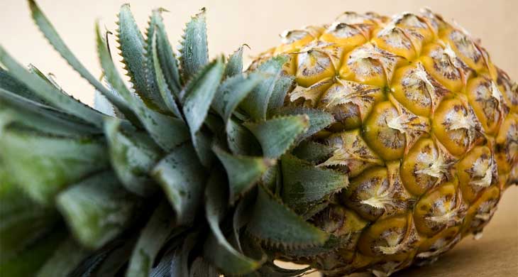 Pineapple Martini