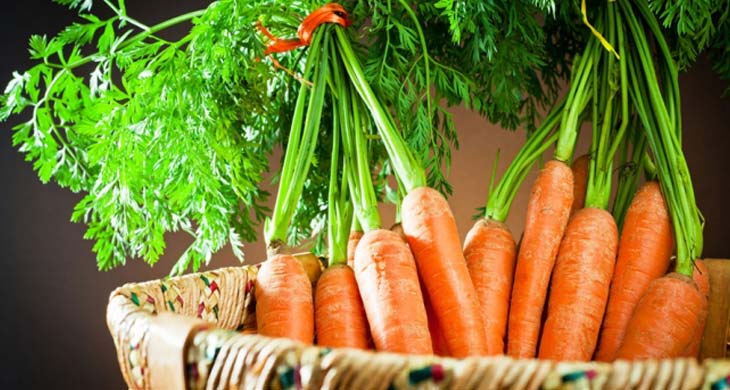 Carrot and Coriander Salad