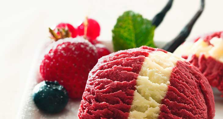 Nut Fruit Ice-Cream