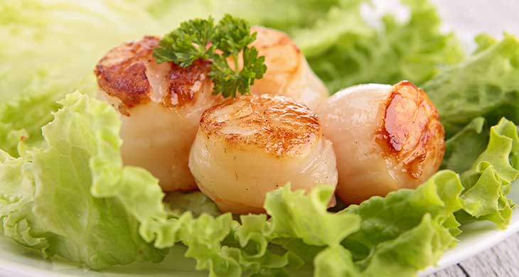 Sweet Citrus Scallop Salad