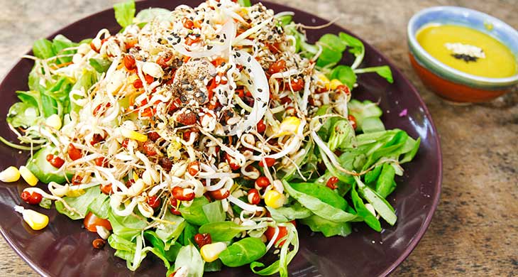 Mixed Sprout and Vegetable Salad