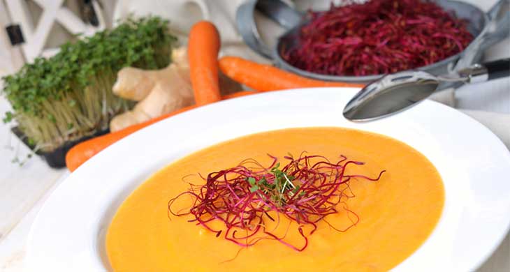 Carrot Soup with Fresh Ginger