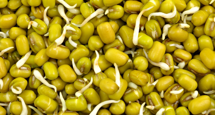 Sprouted Green Gram Salad