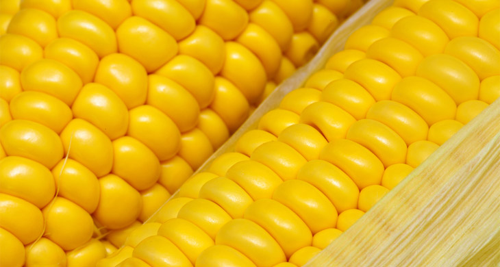 Baked Sweetcorn with Mint Dip