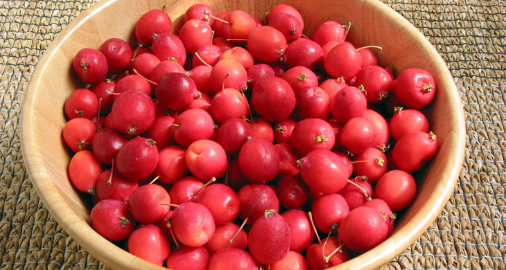 Spiced Crab Apples