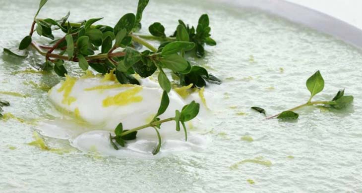 Creamy Cucumber Soup